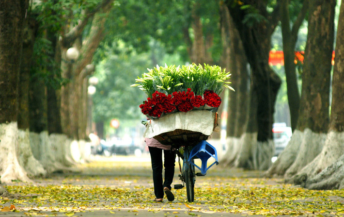 Mỗi mùa Thủ đô lại khoác lên mình một bộ áo mới quyến rũ. Hạ về trong sắc trắng tinh khôi của hoa loa kèn, trong hương sen ngào ngạt hồ Tây.