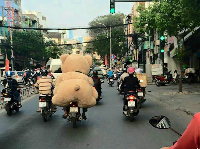 Mùa đông không lạnh vì có gấu bên cạnh.