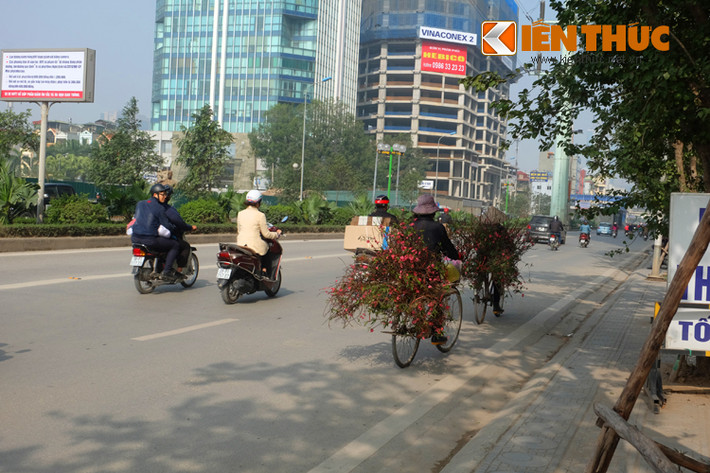 Không phải là những chậu đào "khủng", hay bất kỳ loại cây độc lạ nào, mà chỉ cần một cành đào nhỏ cũng khiến người ta thấy Tết gần hơn.