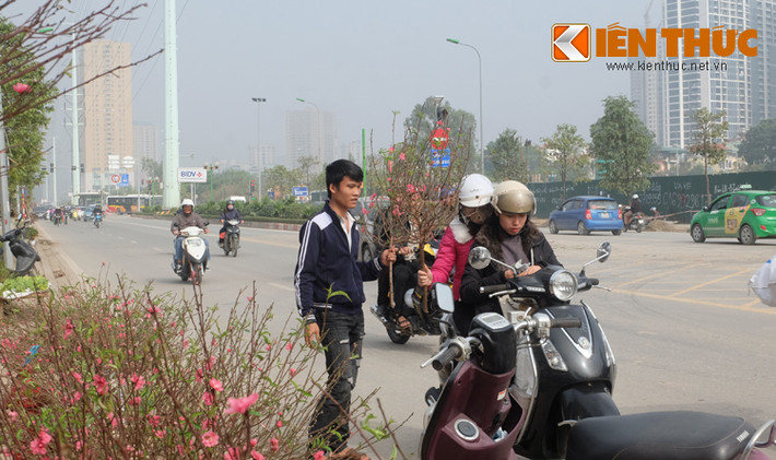 Người dân dừng lại mua đào về nhà.