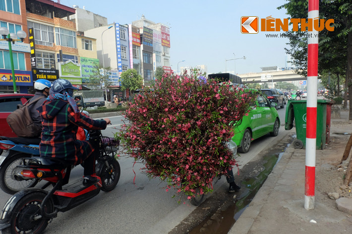 Không cầu kỳ tạo dáng, không đắt đỏ như đào thế, hoa đào theo xe, theo gánh hàng rong xuống phố đều là những cành nhỏ, được người Hà Thành ưa chuộng mua về cắm lọ.