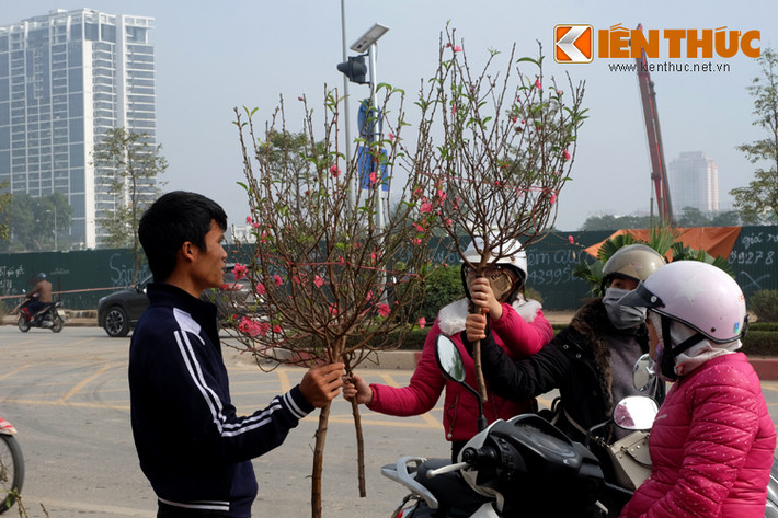Tín hiệu của mùa xuân cứ thế lại theo từng người đi về các con ngõ nhỏ, mang mùa xuân vào từng căn nhà.