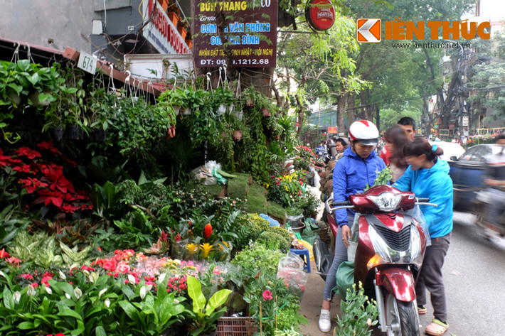 Nhiều hàng hoa tràn cả xuống lòng đường.