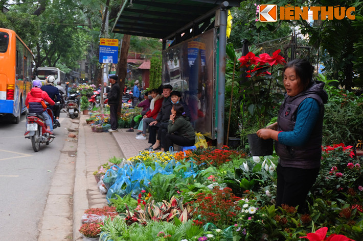 Những người chờ xe bus cũng tranh thủ ngắm hoa Tết.