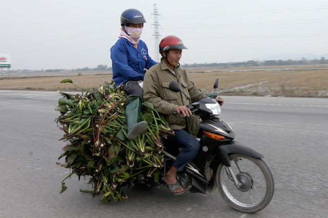 Một kiểu đi đường bá đạo.