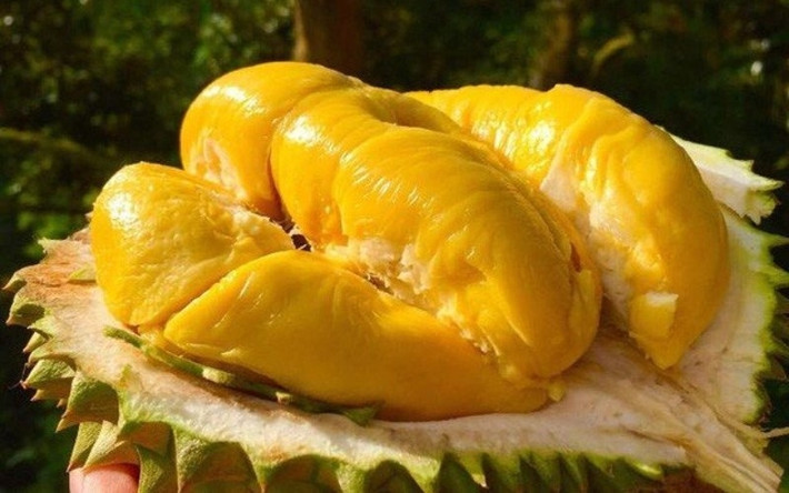 Cuối cùng là “Nữ hoàng sầu riêng Ri6” được đấu thành công 1,4 tỷ đồng. Ri6 là một giống sầu riêng đặc sản nổi tiếng, xuất phát từ khu vực Đồng bằng sông Cửu Long vào đầu những năm 1990. Ảnh: Fptshop