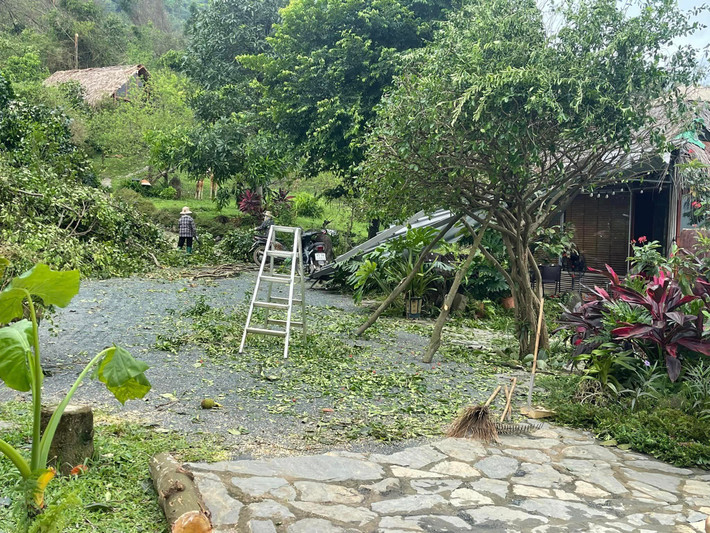 Qua loạt ảnh chia sẻ, có thể thấy rất nhiều cây cối trong vườn bị gãy đổ. Ảnh: FB Trần Việt Hoàn