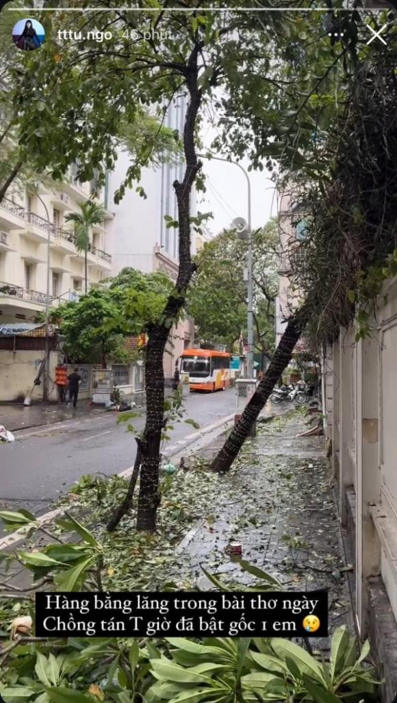 Cây xanh to bên ngoài khu vực nhà của Thanh Tú cũng bị gãy. Người đẹp tiếc nuối vì hàng cây bằng lăng chồng từng làm thơ tặng cô được trồng trước nhà cũng bật gốc. Ảnh: FBNV