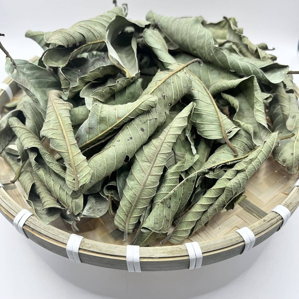 Tương tự, người dân thường chỉ thu hoạch quả ổi còn lá ổi rụng đầy vườn. Nhưng hiện nay, lá ổi khô bất ngờ được rao bán từ 65.000-90.000 đồng/kg. Ảnh chụp màn hình