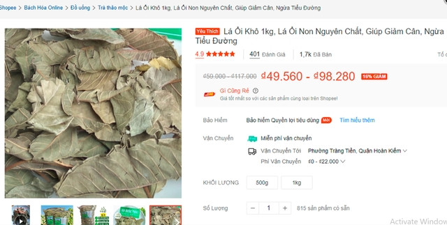Lá ổi có tác dụng hỗ trợ giảm cân, điều trị dị ứng, tăng cường hệ miễn dịch... nên được các cơ sở sản xuất dược liệu, thực phẩm chức năng thu mua nhiều. Ảnh: Thảo Dược Bảo Như
