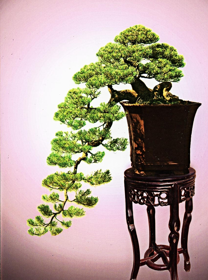 Phi lao được nghệ nhân tạo dáng thác đổ tuôn xuống như bất tận. Ảnh: Doanhnhanplus