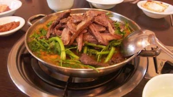 Từ vị trí “thú cưng” trước đây, nay chó ngao Tây Tạng thậm chí còn trở thành loài nuôi để lấy thịt, trở thành nguyên liệu trong món lẩu được nhiều nhà hàng ở Trung Quốc. Ảnh: Guardian