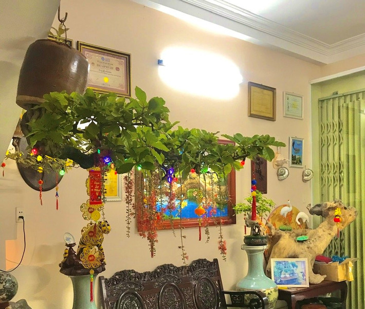 Ngoài những loại cây thông dụng như linh sam, mai chiếu thủy, lộc vừng, mai vàng... ông Lê Thạnh còn tạo thế bonsai ngược thành công trên cây mít, chuối...Ảnh: Vietnamnet