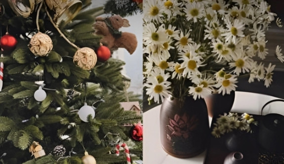 Căn nhà thường xuyên được tô điểm bởi những bình hoa tươi. Ảnh: FB Doãn Hải My