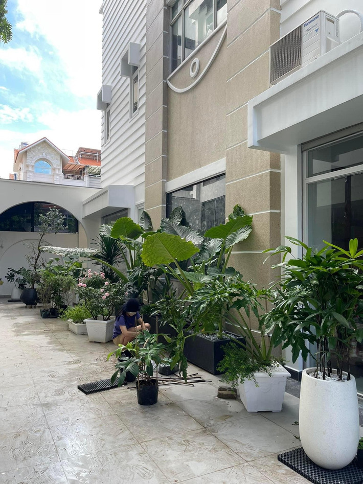 Tại khu vực ngoài trời, cặp đôi trồng nhiều cây xanh và tiểu cảnh. Ảnh: FB Vân Trang