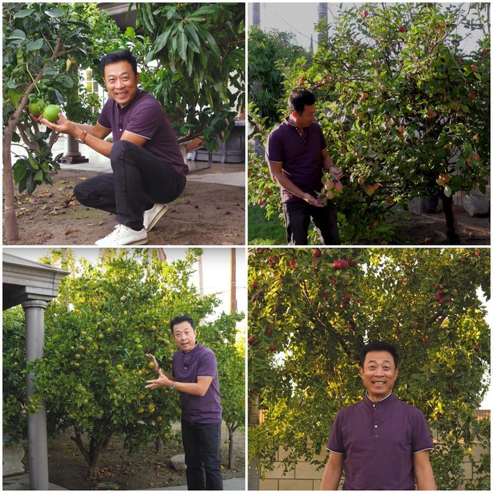 Mỗi lần chia sẻ về khu vườn, danh hài Vân Sơn đều tràn đầy năng lượng.