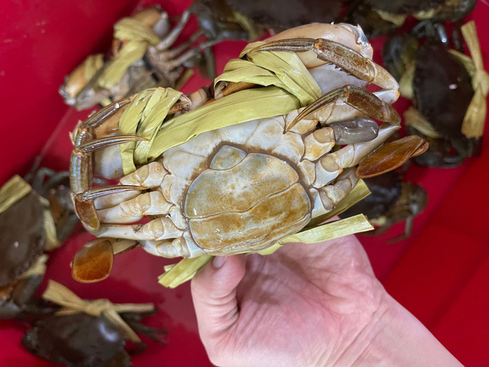Trên chợ online, cua cốm có giá mềm hơn, dao động trong khoảng 650.000 - 750.000 đồng/kg, size 3 - 6 con/kg loại có dây buộc bằng vải. Ảnh: Facebook
