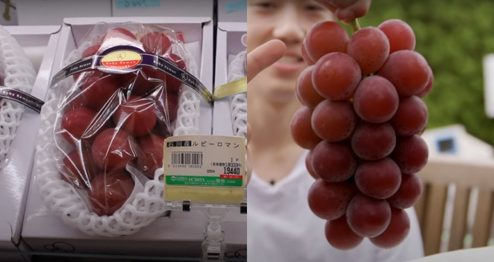 Nho Ruby Roman là loại nho nổi tiếng của Nhật Bản được xem là loại nho đắt nhất thế giới. Trong một phiên đấu giá, một chùm nho Ruby Roman được mua với giá lên tới 250 triệu đồng. Ảnh: NextShark