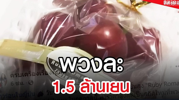 Một chùm nho Ruby Roman đã được bán với giá kỷ lục 1,5 triệu Yen (tương đương hơn 250 triệu đồng), trong phiên đấu giá tại một chợ bán buôn ở tỉnh Ishikawa, miền Trung Nhật Bản. Ảnh: Tellerreport