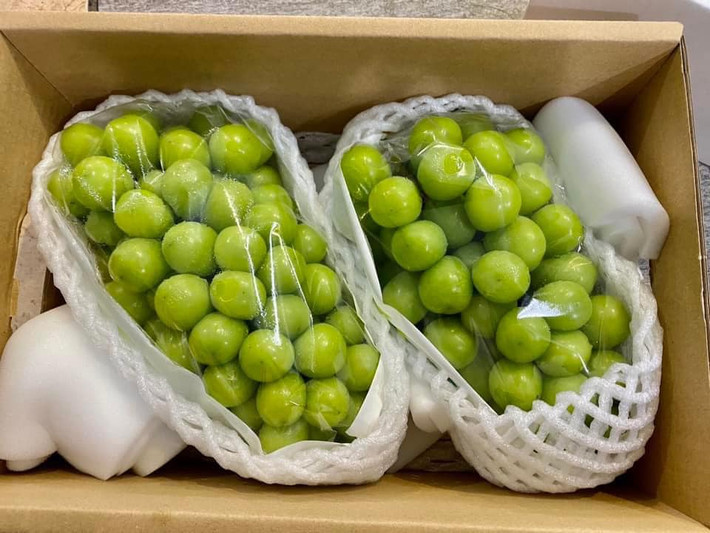 Với kinh nghiệm bán hàng nhiều năm, cô Liên (Long Biên, Hà Nội) khẳng dịnh, nho sữa giá rẻ đang bán đầy chợ là nho trồng tại Trung Quốc.
