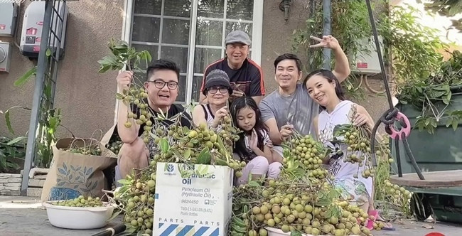 Từng rất nổi tiếng ở Việt Nam nhưng hiện tại, nghệ sĩ ưu tú Bảo Quốc lại tận hưởng cuộc sống an nhàn cùng gia đình tại Mỹ. Trong nhà nam nghệ sĩ có khu vườn trái cây rộng lớn.