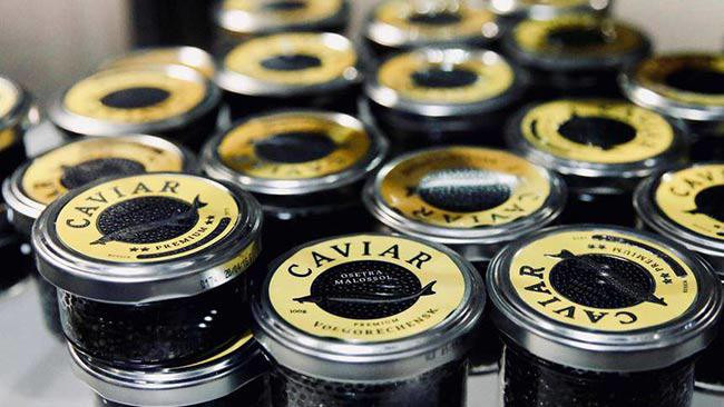 Đặc biệt, trứng cá tầm Kaluga có mức giá siêu đắt lên tới 7.000 - 10.000 USD/kg (tương đương 162 - 232 triệu đồng/kg).