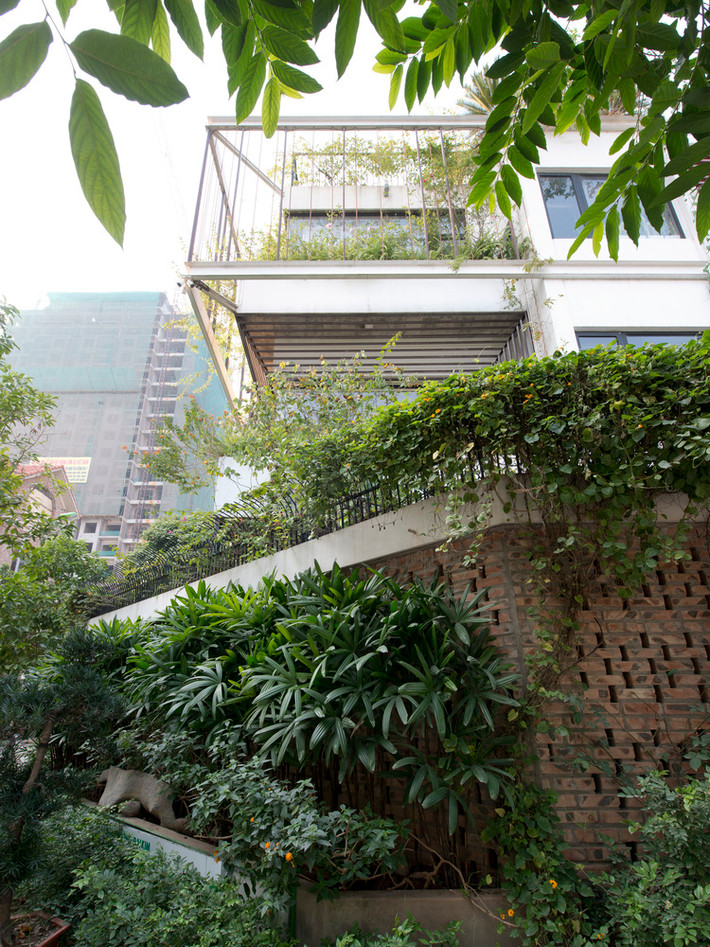 Đặc biệt, bất cứ đâu trong ngôi nhà, gia chủ có thể cảm nhận mùi thơm từ cây Mộc trồng giữa nhà. Nguồn ảnh: Archdaily