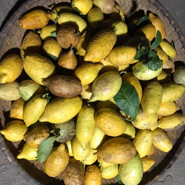 Mấy năm gần đây, chanh yên có hình dáng vô cùng lạ lẫm thu hút đông đảo người tiêu dùng lùng mua với giá từ 50.000 - 100.000 đồng/kg. Ảnh: Facebook Vanha