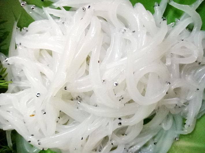 Cá ngần cũng là một đặc sản sông Đà được người tiêu dùng ưa chuộng. Vào tháng 4-5 hàng năm, cá ngần sông Đà lại xuất hiện và bày bán nhiều trên thị trường. Giá bán dao động từ 200.000 – 300.000 đồng/kg. Ảnh: Tieudung