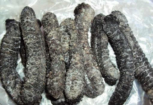 Trong khi đó, hải sâm khô có giá từ 2 triệu - 5 triệu đồng/kg tùy loại. Ảnh: Huyhaisan.