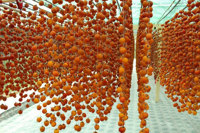 Khi bề mặt quả hồng đã trở nên bết dính và bắt đầu săn chắc, người ta nhẹ nhàng xoa bóp quả hồng trong vài giây ít nhất một lần mỗi ngày để thịt quả mềm và dẻo.