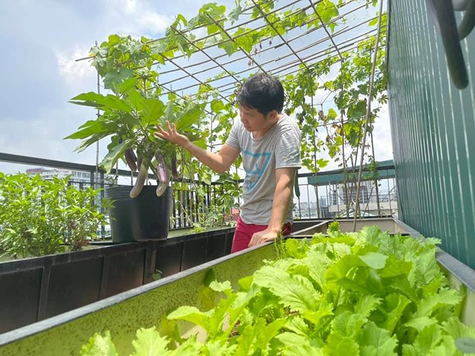 Ngoài trái cây, nam ca sĩ còn trồng đủ các loại rau xanh.
