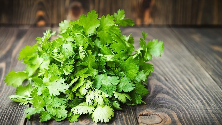 Rau mùi là một trong những loại rau gia vị phổ biến trong các món ăn truyền thống của người Việt. Ảnh: Internet