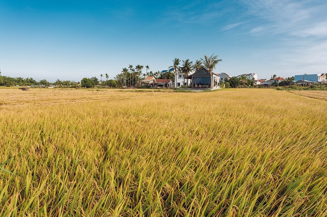 Nhìn từ xa, căn nhà tựa như một biệt thự Pháp cổ, vừa sang trọng, khác biệt nhưng cũng rất Việt Nam.