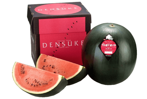 Dưa hấu đen Densuke được mệnh danh "vua" của các loại dưa hấu trên thế giới. Quả dưa hấu vỏ đen này lập kỷ lục khi người mua trả giá gần 6.000 USD/quả (tương đương 138 triệu đồng). Ảnh: Bokksu