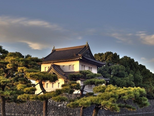 Cung điện hoàng gia (Imperial Palace) nằm ở trung tâm Tokyo, bên trong một khuôn viên rộng lớn được bao quanh bởi một con hào và tường đá dày là nơi ở của Nhật hoàng Akihito và gia đình hoàng tộc.