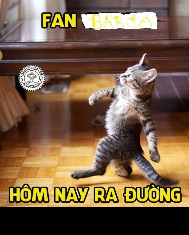 Sau trận thắng Bayern Munich, fan Barca hiên ngang ra đường.
