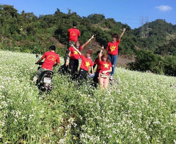 Bên cạnh đó, người dân vùng rẻo cao Hà Giang đã phải rất cố gắng để trồng và chăm sóc những luống hoa tam giác mạch được đẹp để cho du khách tới ngắm nhìn mà các bạn trẻ vô ý thức đã dẫm đạp lên loài hoa này.