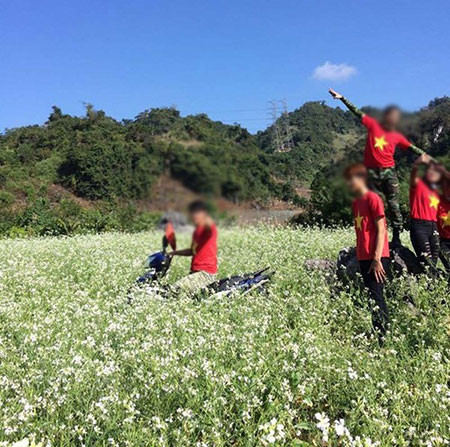 Những bạn trẻ về Hà Giang ngắm hoa tam giác mạch ngang nhiên phi cả xe vào cánh đồng hoa tam giác mạch của người dân.