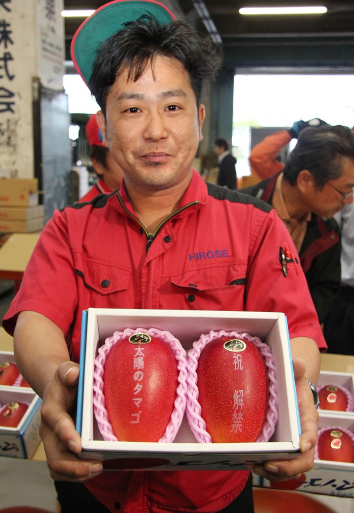 Những quả xoài này được chuyển tới cửa hàng ở Fukuoka để bán.