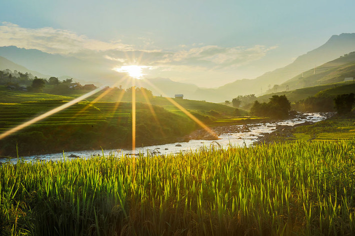 Hay bình minh trên cánh đồng lúa vàng tại Sapa của nhiếp ảnh gia Rehahn khiến nhiều người nhấp nhổm không yên muốn xách balo và lên đường.