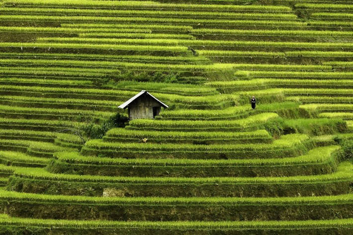 Rehahn đã đến và sinh sống ở Việt Nam năm 2007 đến nay, nhiếp ảnh gia sinh năm 1979 này liên tục có những hành trình rong ruổi khắp các miền đất để chụp ảnh về phong cảnh và con người.