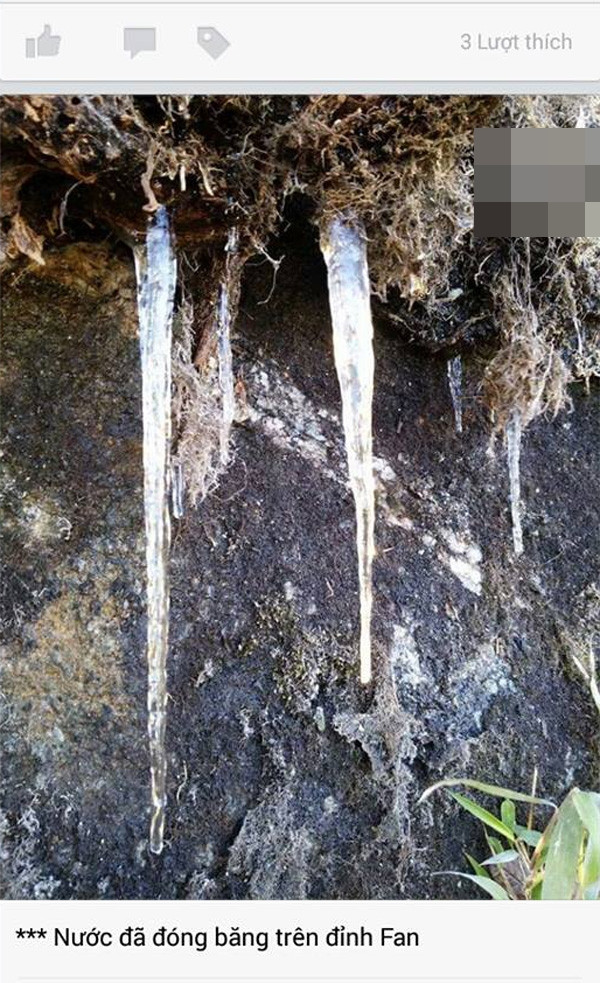 Tuy nhiên, một thông tin mà những người thích săn tuyết hẳn sẽ quan tâm đó là ngày hôm kia 6/12, trên đỉnh Fansipan đã xuất hiện băng giá. Hình ảnh này được phượt thủ Nguyễn Anh Tuấn ghi lại khi leo Fan ngày 6/12.