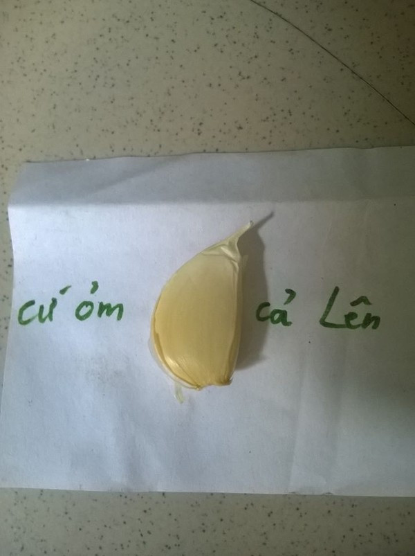 "Cứ ỏm tỏi cả lên".