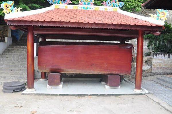 Ở đây còn trưng bày cả những khúc gỗ cổ thụ được mang về từ giữa rừng sâu.