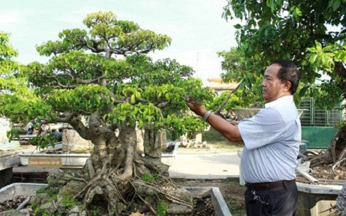 Trung Tướng Đoàn Sinh Hưởng, nguyên Tư lệnh Quân khu 4, Tiến sỹ khoa học, Anh hùng LLVT được nhiều người biết đến với vườn cây cảnh "để đời" tại xóm 4 xã Nghi ân, Nghi lộc (Nghệ An). Ảnh: Vietnamnet.