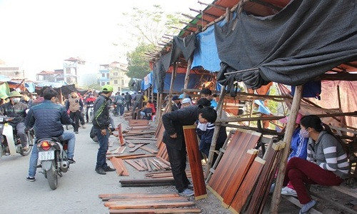 Không giống các khu chợ dân sinh thuần túy, hàng trăm gian hàng ở chợ gỗ Phù Khê Thượng (Xã Phù Khê, thị xã Từ Sơn, Bắc Ninh) bán duy nhất một mặt hàng là gỗ trắc. Ảnh: Zing.