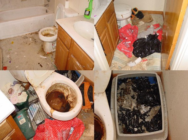Nhà vệ sinh có lẽ vài năm không cần dọn. Ảnh: Master-cleaners.