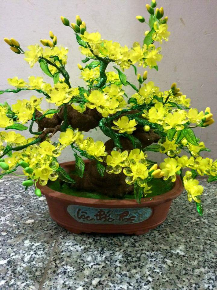 Mai trồng trong chậu thoát hơi nước nhanh nên cần tưới nhiều lần hơn so với mai trồng trong đất. Lưu ý chỉ tưới vào sáng sớm hay chiều mát. Hạn chế tưới quá đẫm vào chiều tối vì dễ phát sinh sâu bệnh do độ ẩm quá cao vào ban đêm. Ảnh: Blogger.
