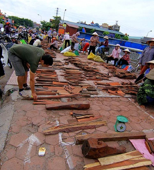 Mặt hàng gỗ trắc bày bán có nhiều kích cỡ. Giá gỗ cũng tương đối đặc biệt, dao động vài nghìn đồng đến 40-50 triệu đồng. Ảnh: Khám phá.